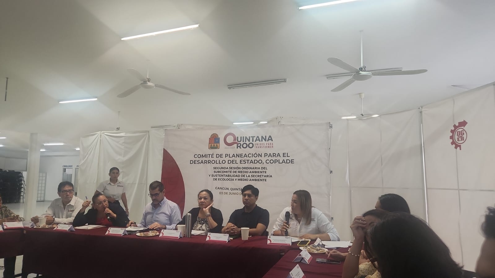 Imagen del artículo