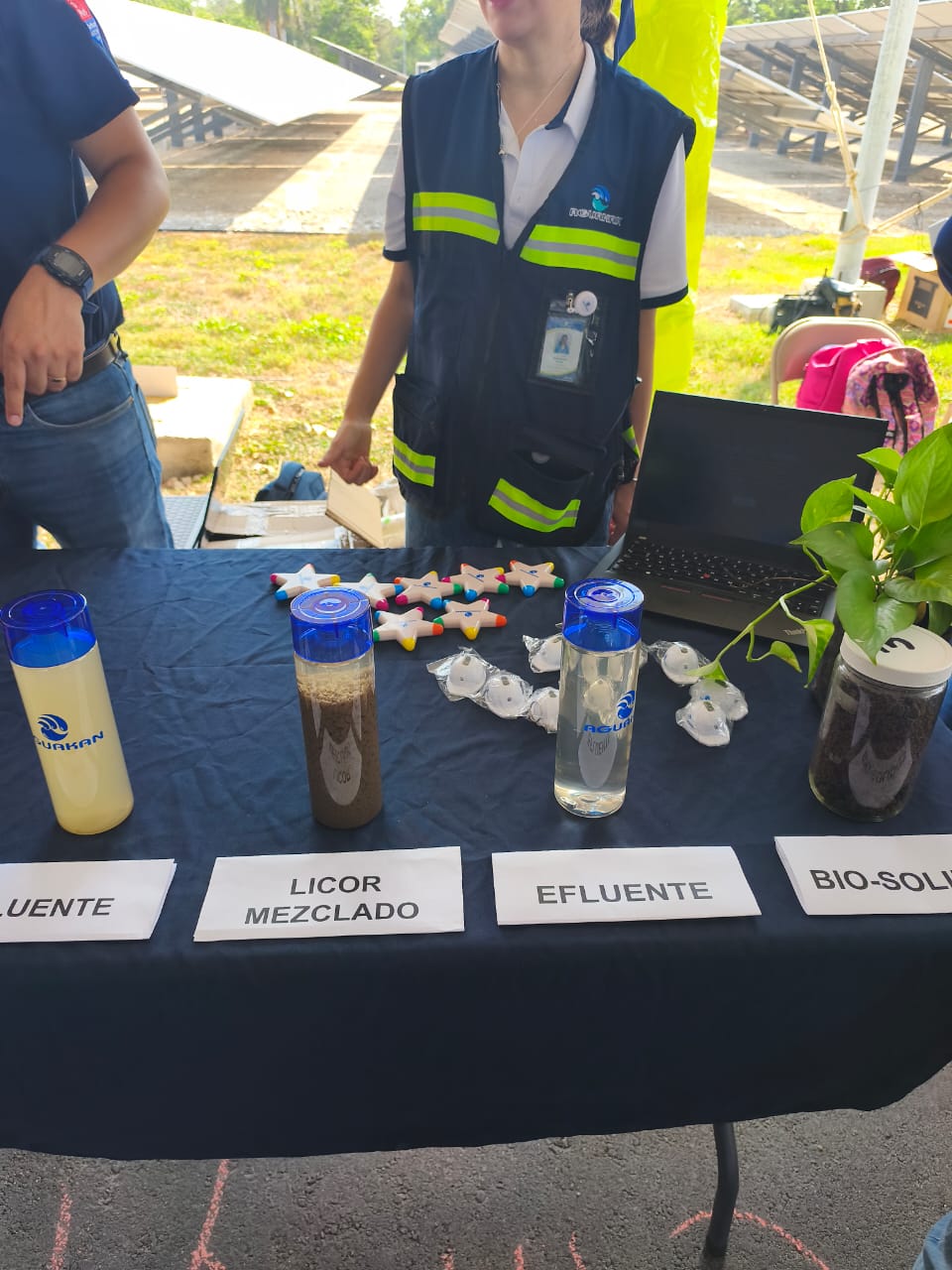 Imagen del artículo
