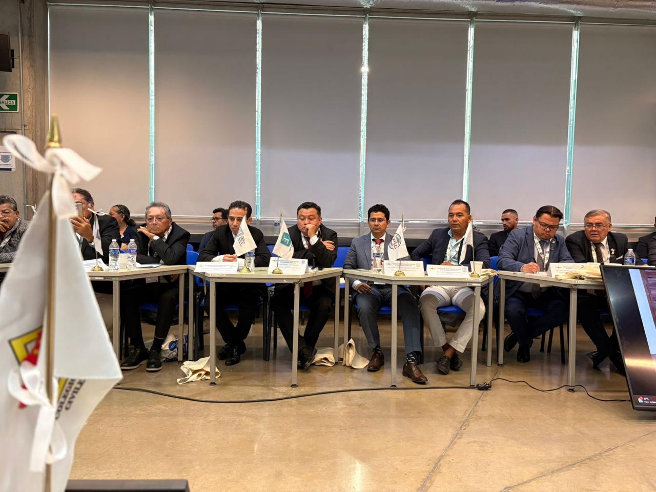 Imagen del artículo