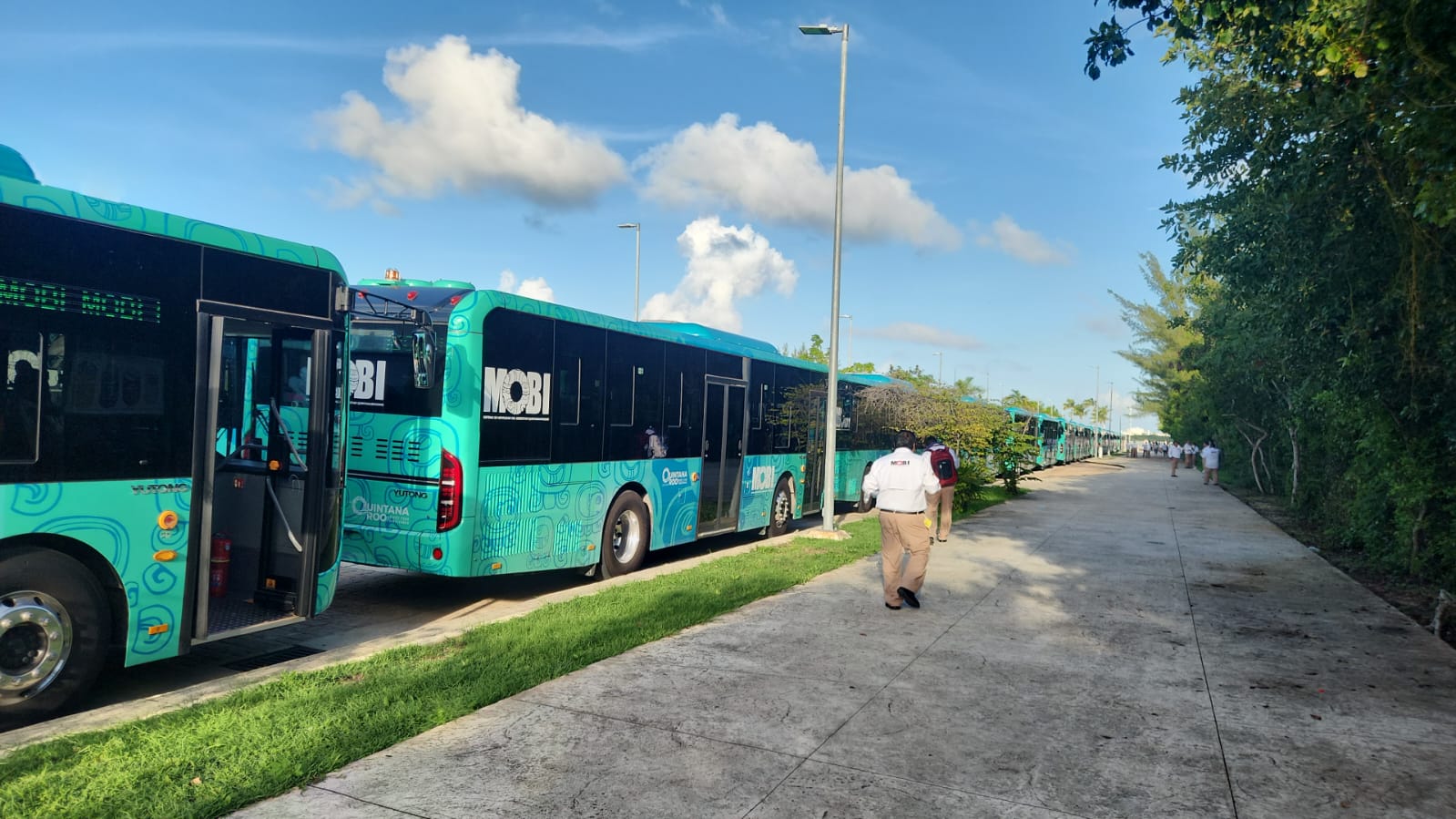 Imagen del artículo