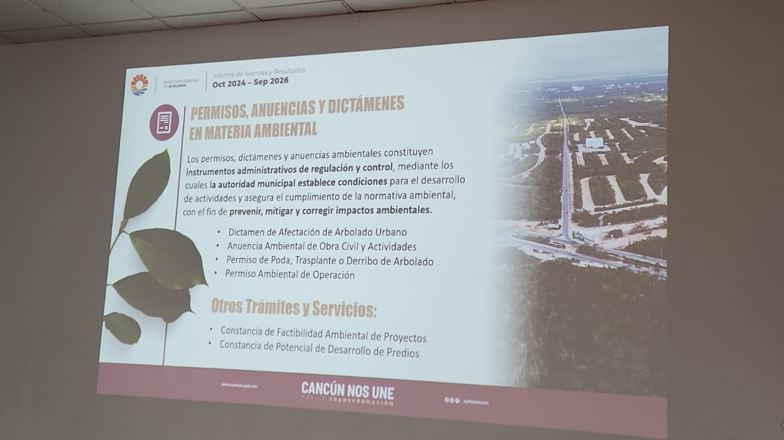 Imagen del artículo