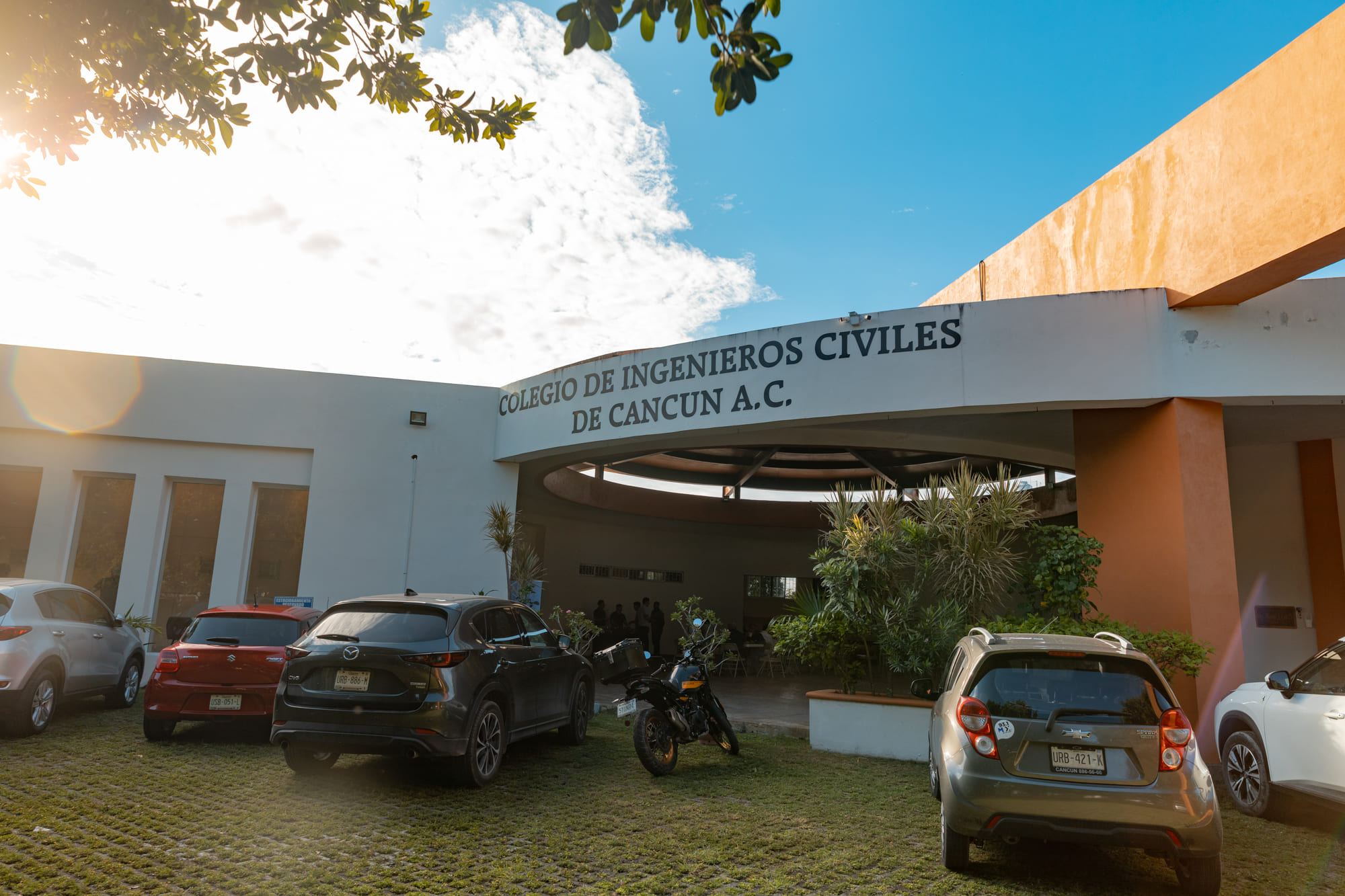 Imagen del artículo