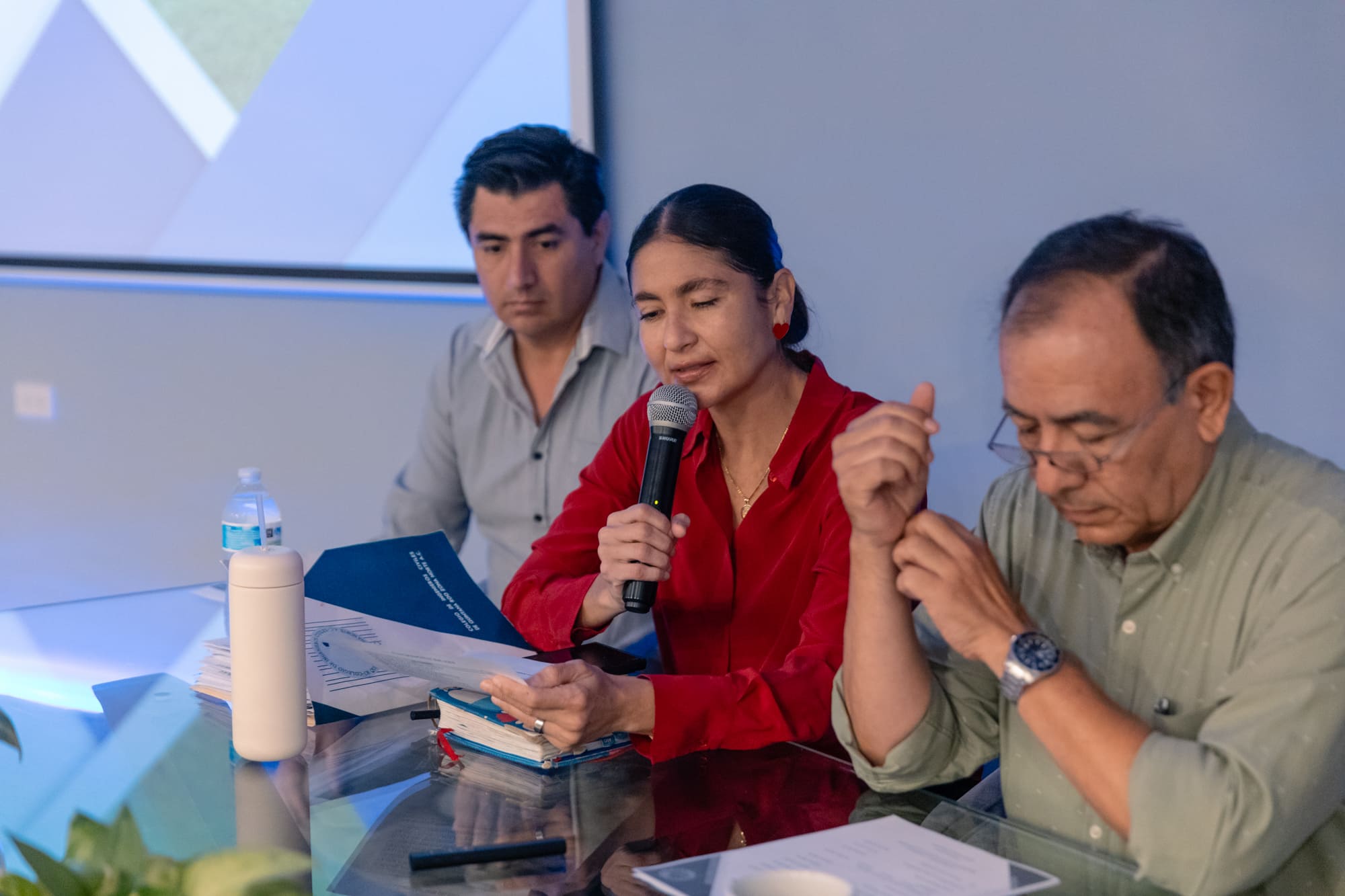Imagen del artículo
