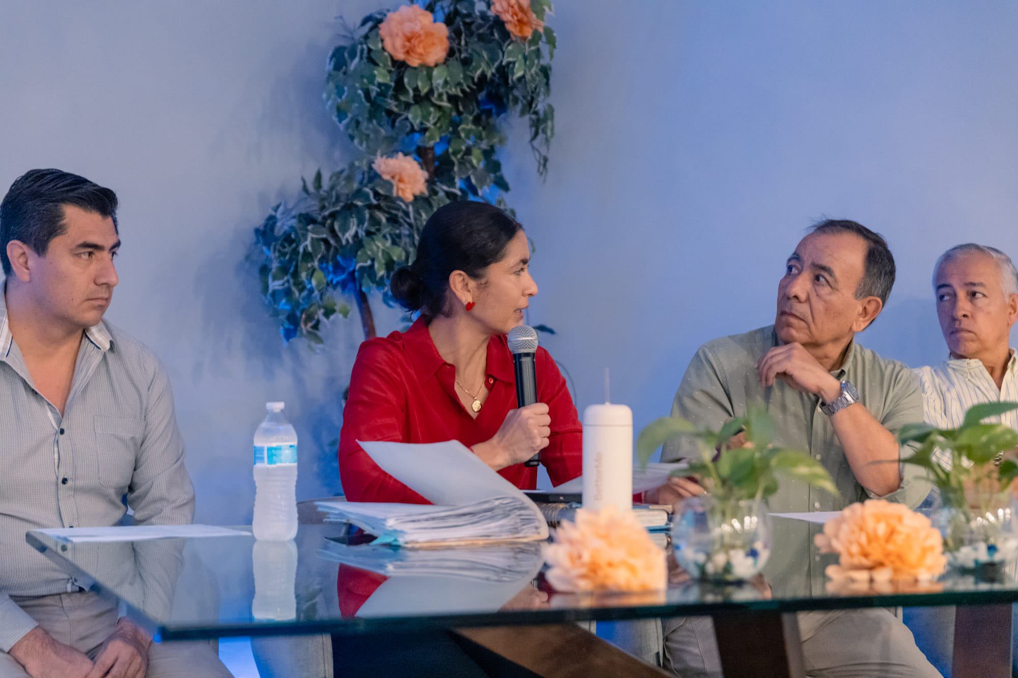Imagen del artículo