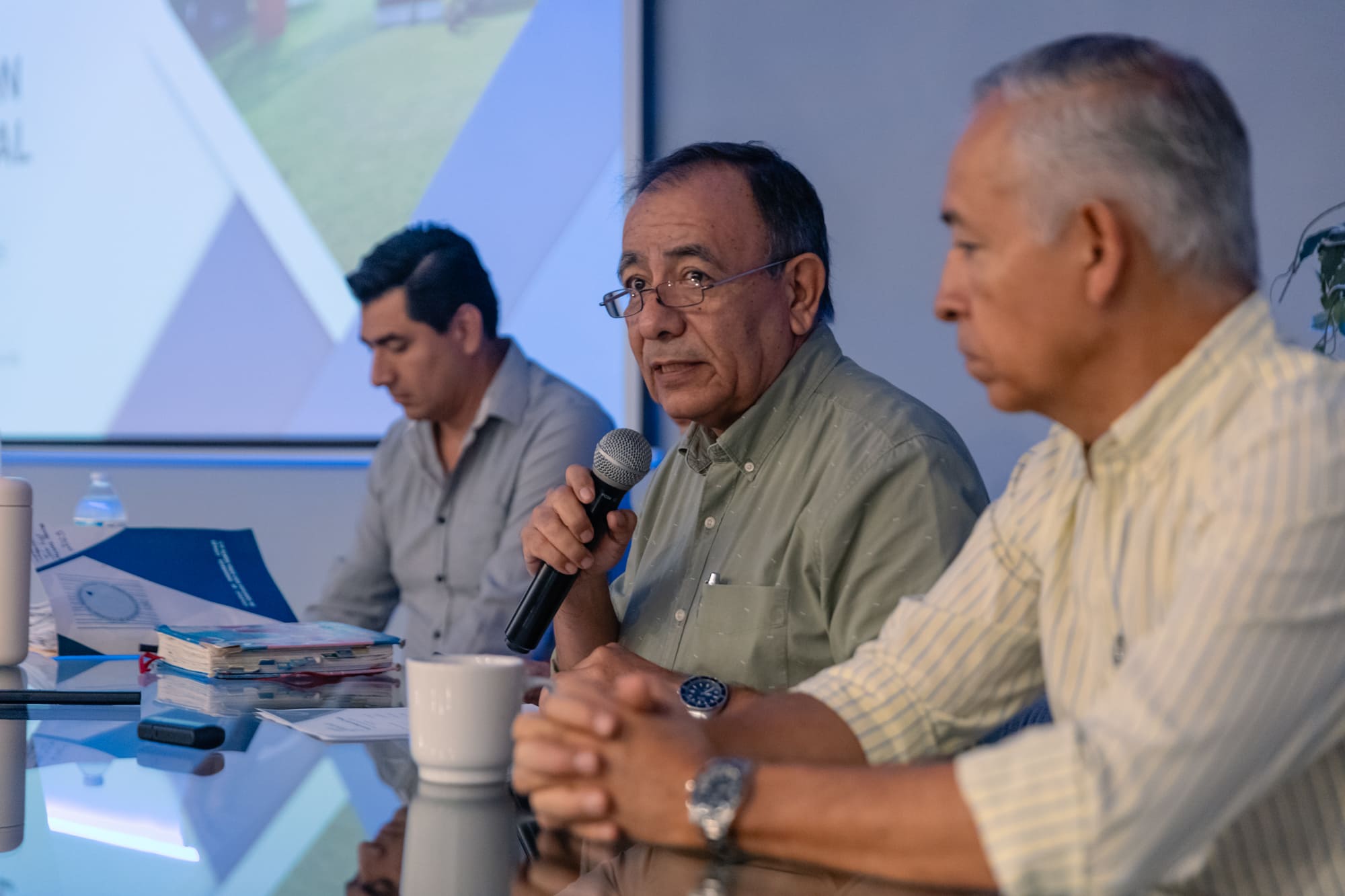 Imagen del artículo